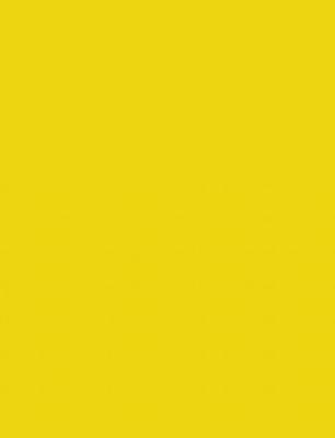 Fotokarton Folia 300gr 50x70cm 10vel 14 banaangeel | 10 stuks