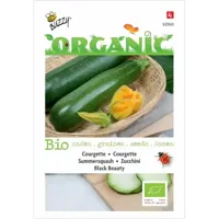 Biologische Courgette Black Beauty - thumbnail