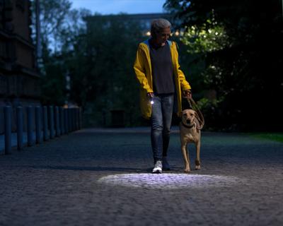 Ledlenser P14 Zaklamp werkt op batterijen LED 800 lm 50 h 371 g