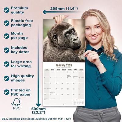Apen Kalender 2026 - thumbnail