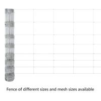VidaXL Wilde hek warm verzinkt 1000 x 100 x 0,18 cm ijzer - thumbnail