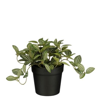 Kunstplant Mica Tradescantia in pot 16x16cm
