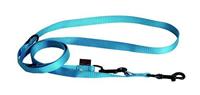 Martin hondenriem multipurpose nylon turquoise - thumbnail