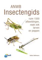 ANWB Insectengids - thumbnail