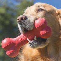Kong Goodie Bone Rood Medium - thumbnail