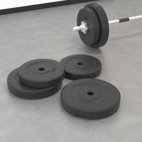 Halterschijven 4 st 30 kg beton - thumbnail
