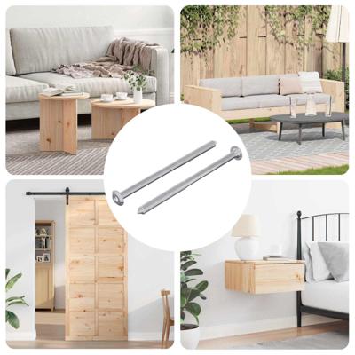 Bout 2 pcs Zilver M6 x 100 mm Staal