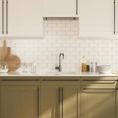 Handvatten 20 st 480 mm roestvrij staal zwart