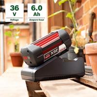 Bosch Groen Starter Kit 36 V | 1x 36V 6.0 Ah accu en 1x lader AL 36V-20 - F016800636 - thumbnail
