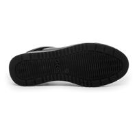 Ara 1250030 - alle - thumbnail