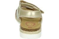 Develab 44334 - alle - thumbnail