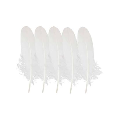 Witte Veren Gans - 16-20 cm (Set van 5) Witte Veren Gans - 16-20 cm (Set van 5)