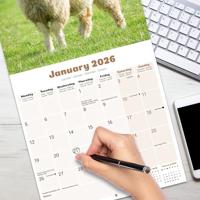 Schapen Kalender 2026 - thumbnail