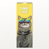 Grappige Katten Slimline Kalender 2026 - thumbnail