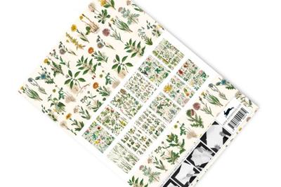 Flora (Paperback)