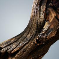 Hugo Boss Bottled Eau de Toilette - thumbnail