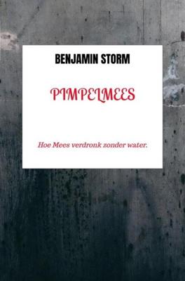 Pimpelmees - Benjamin Storm - ebook