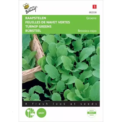 Raapsteel Groene Gewone