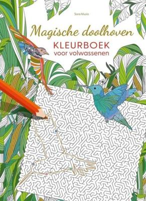 Magische doolhoven - kleurboek voor volwassenen