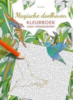 Magische doolhoven - kleurboek voor volwassenen - thumbnail