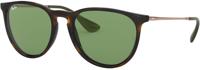 Ray-Ban ERIKA COLOR MIX zonnebril Piloot - thumbnail