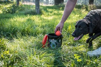 Dog Comets Meteor Shower (Emmer met 6 M Stardust ballen)