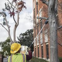 Makita DUA300Z Accu Stokkettingzaag 30cm 2x18V Basic Body - thumbnail