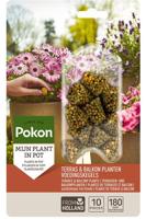 Pokon terras balkonplanten voeding langwkegels 10st - thumbnail