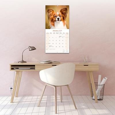 Papillon Kalender 2026