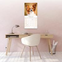 Papillon Kalender 2026 - thumbnail