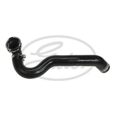 Radiateurslang 052820