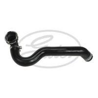 Radiateurslang 052820 - thumbnail