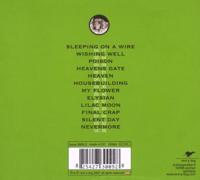 Collie/////electric - thumbnail