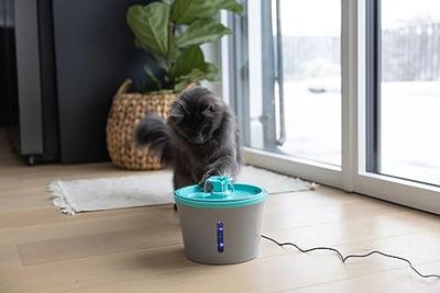 Kerbl Pet Drinkfontein voor huisdieren, 1,6 l, grijs/blauw