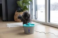Kerbl Pet Drinkfontein voor huisdieren, 1,6 l, grijs/blauw - thumbnail