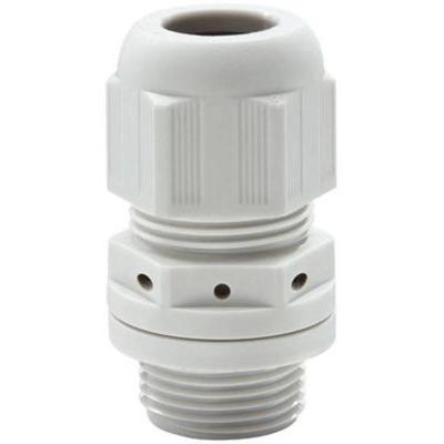 DOTLUX 4723 1 stuk(s)