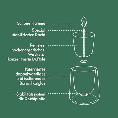 Bolsius Starterkit Clean light navulbaar Gardenia en Vijg - thumbnail