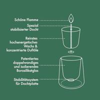 Bolsius cleanlight navulling bergamot & neroli - thumbnail