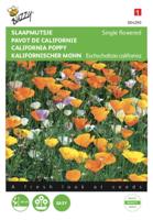 Eschscholtzia, Slaapmutsje enkelbloemig gemengd - thumbnail