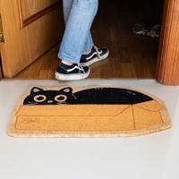 Kat in doos deurmat - thumbnail