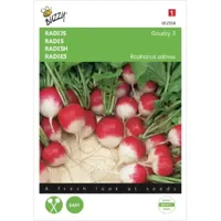 Radijs Gaudry 3 - thumbnail