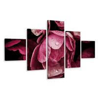 Schilderij - Pioenroos close-up, 5luik, premium print - thumbnail