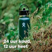 Hydro Flask 32 Oz Wide Flex Straw Cap Thermosfles Trillium 946 ml - thumbnail