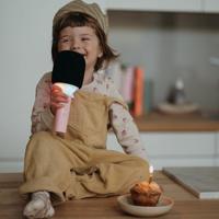 Micro karaoke Kidymic - KIDYWOLF rozen - thumbnail