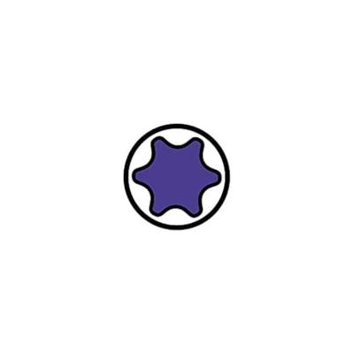 Spax pk t30 geg dd 6,0x220(100)