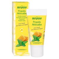 Bergland Propolis Zalf Actief - thumbnail