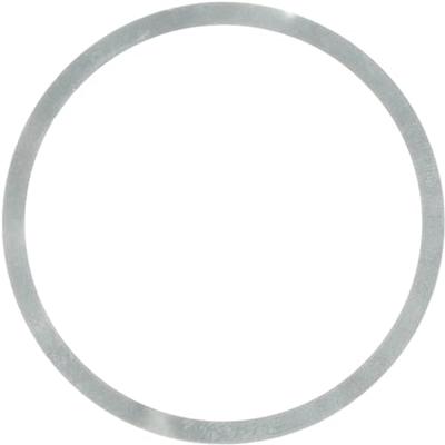 Elvedes vulringen centerlock 0,1mm rvs (4st)