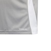 adidas Tiro 24 Voetbalshirt Kids Lichtgrijs Wit - thumbnail