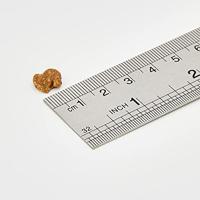 Eukanuba Yorkshire Terriër Adult hondenvoer 3 x 2 kg - thumbnail