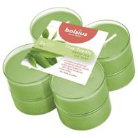 Bolsius Maxilichten True Scents Green Tea 8 Stuks 8 uur - thumbnail